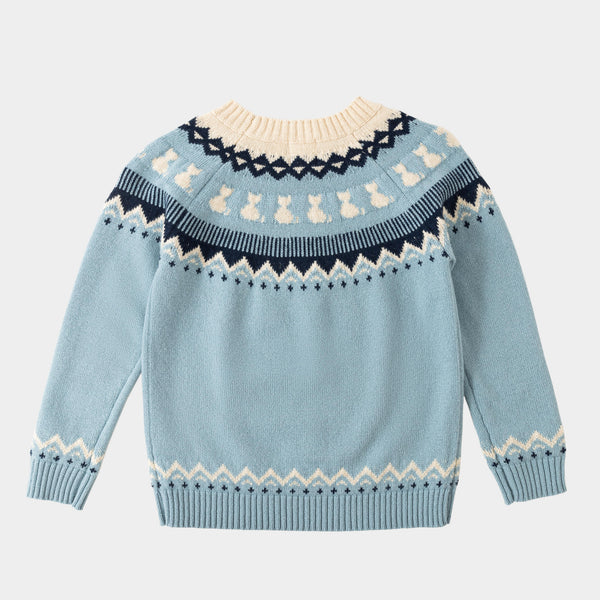 Kitten Jumper Sky
