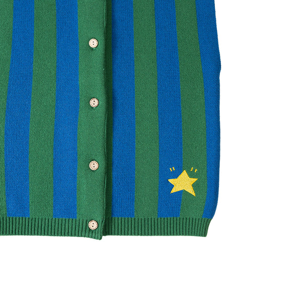 Stripe Vest Blue/Green