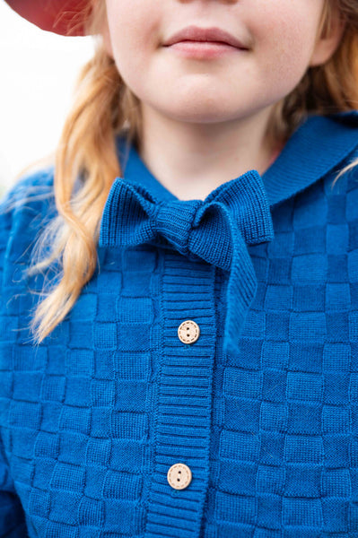 Collar Cardigan Blue
