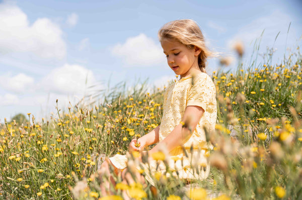 Seed Knit Cream Yellow