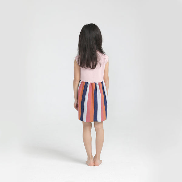 Stripe Dress Pink Multi color